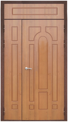 тамбурная дверь 